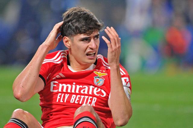 António Silva, central do Benfica (foto Imago)