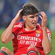 António Silva, central do Benfica (foto Imago)