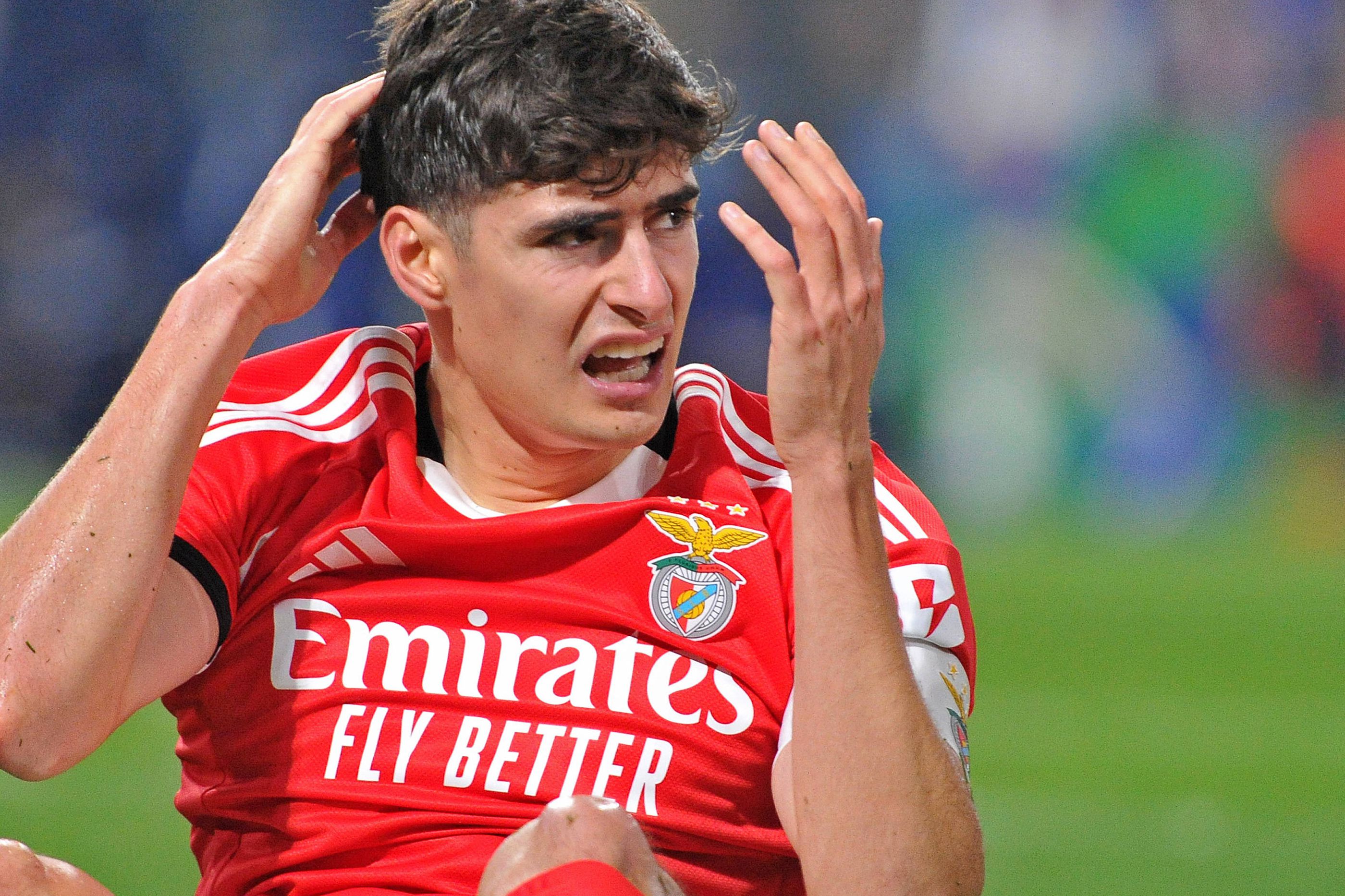 António Silva, central do Benfica (foto Imago)