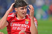 António Silva, central do Benfica (foto Imago)