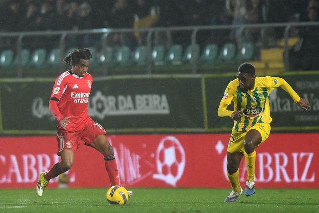 VÍDEO: o penálti sobre Barreiro em Tondela que o VAR reverteu