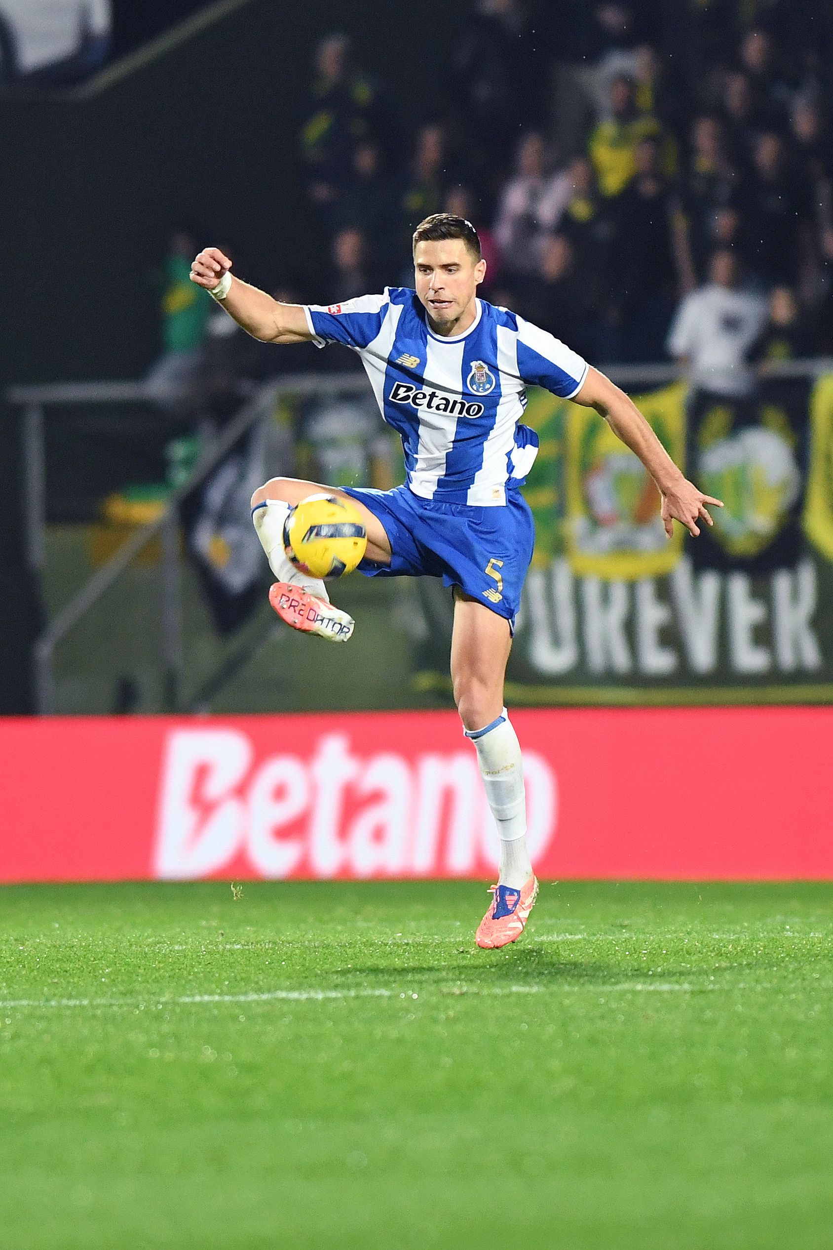 Bednarek - Catarina Morais/Kapta+