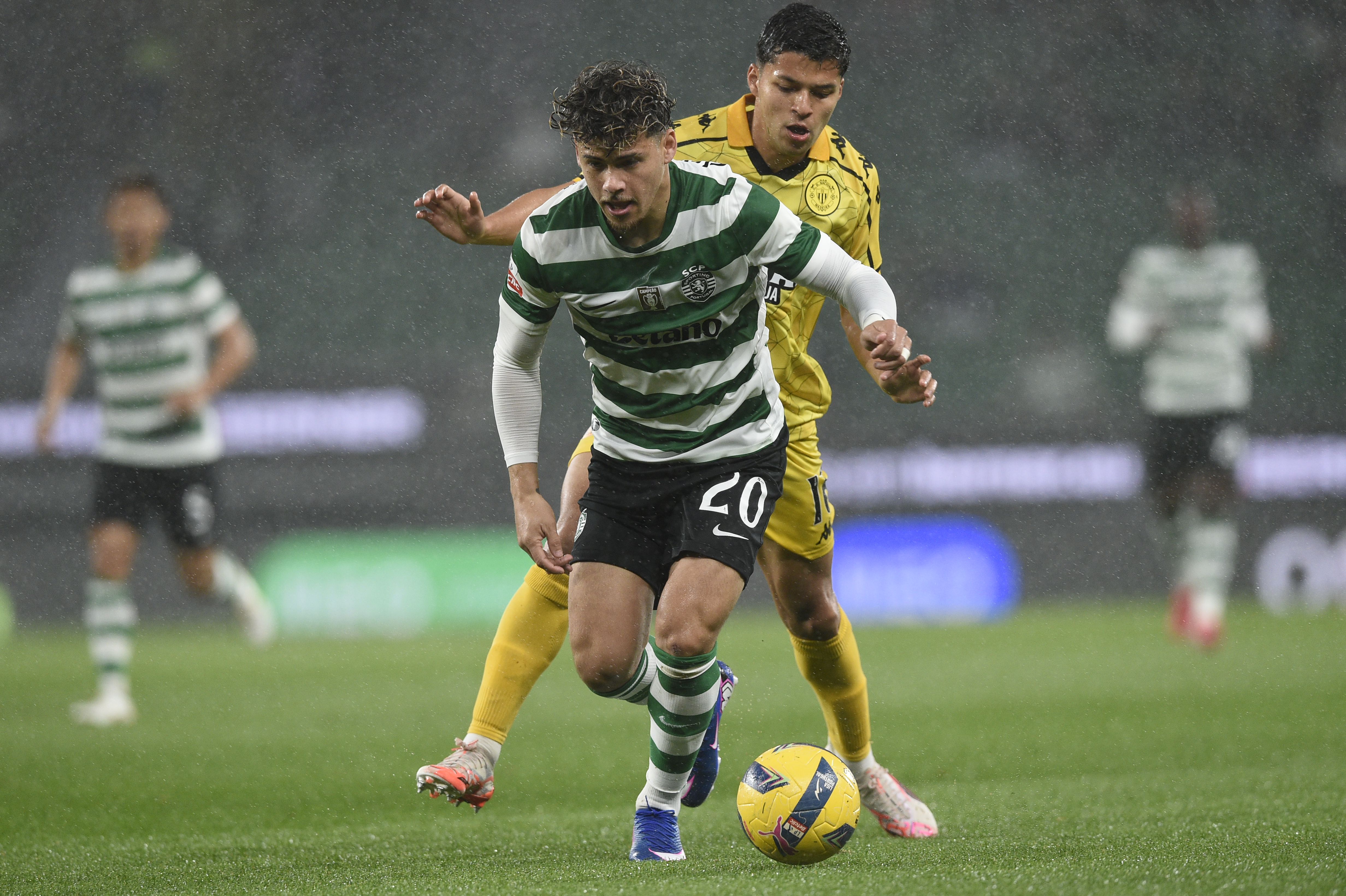 Maxi Araújo - Foto: Sérgio Miguel Santos