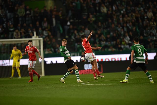 Área do Benfica foi das mais 'fáceis' para o Sporting entrar