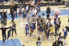 Festa rija na Dragão Arena com o título de voleibol feminino
