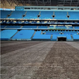 Até um peixe ficou das cheias na Arena Grêmio (foto)