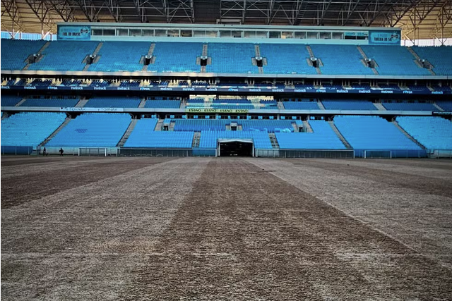 Até um peixe ficou das cheias na Arena Grêmio (foto)