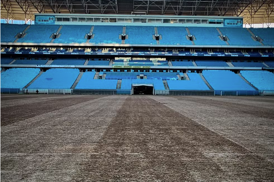 Até um peixe ficou das cheias na Arena Grêmio (foto)