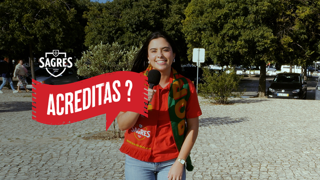 Vox pop: testámos os portugueses sobre o Euro antes da Eslovénia