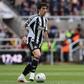 Tonali vai reforçar o Tottenham