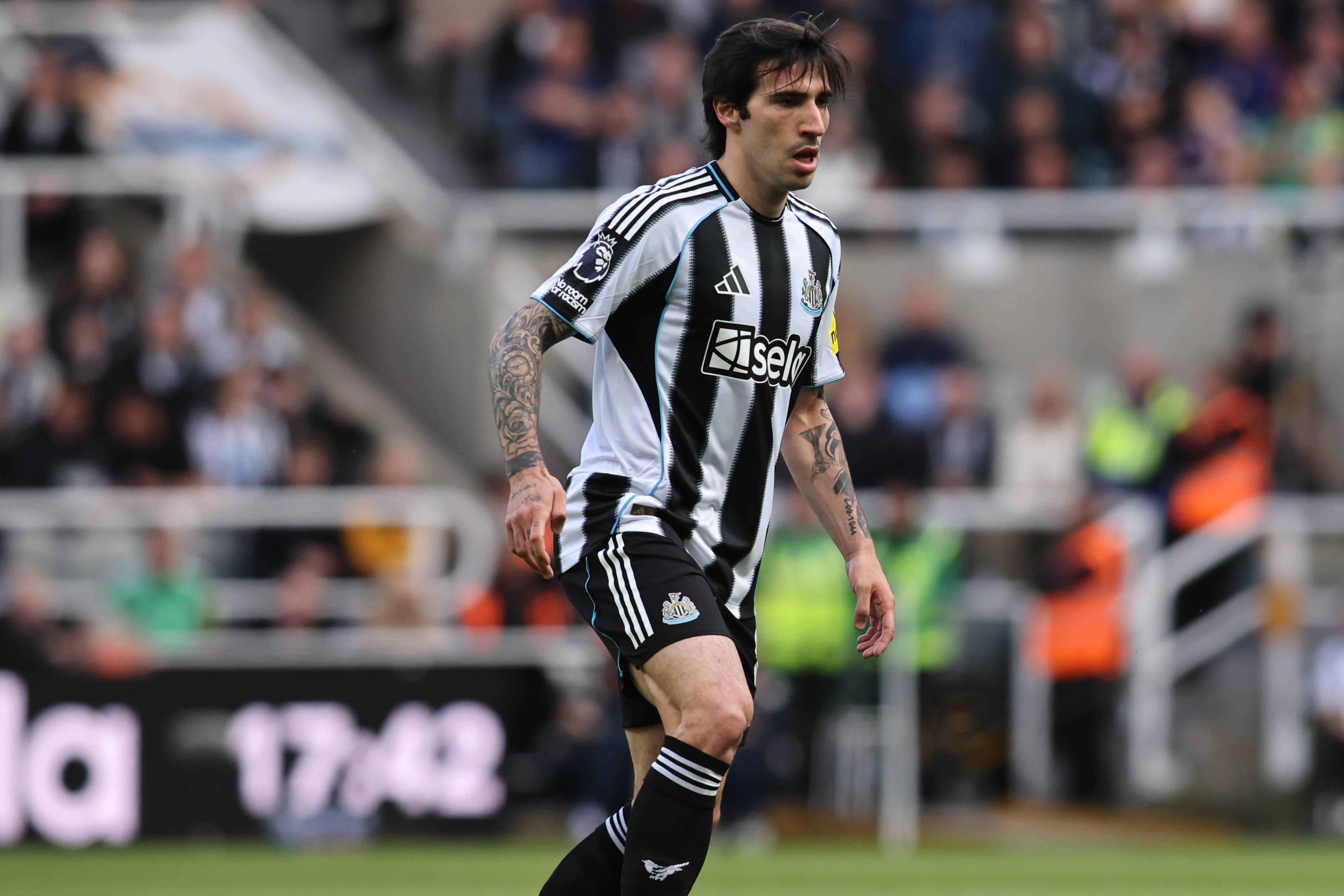 Tonali vai reforçar o Tottenham