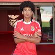 Benfica acautela futuro