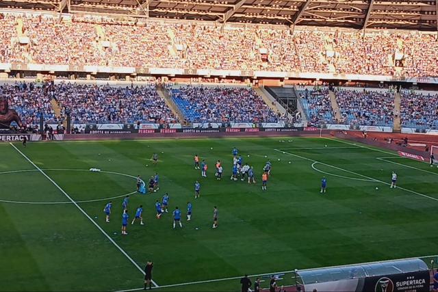 Clareiras no relvado da Supertaça foram pintadas... de verde