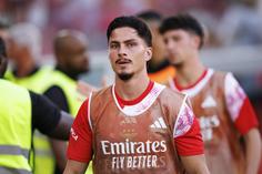 «Ivanovic não foi bem aproveitado no Benfica»