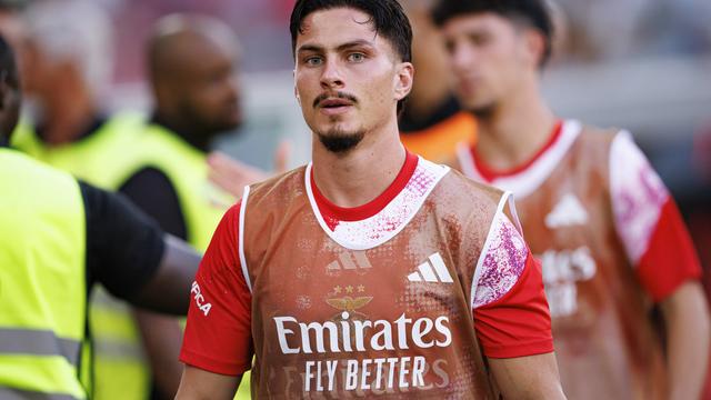 «Ivanovic não foi bem aproveitado no Benfica»