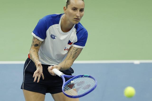 A mensagem que tramou Vondrousova, suspensa quatro anos por doping