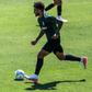 Luis Suárez marcou um dos três golos dos leões diante do Mafra - Foto: Sporting CP
