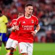 Franjo Ivanovic marcou 8 golos e fez 2 assistências em 41 jogos pelo Benfica
