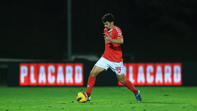 «Provavelmente, Tomás Araújo vai agarrar a titularidade na Seleção»