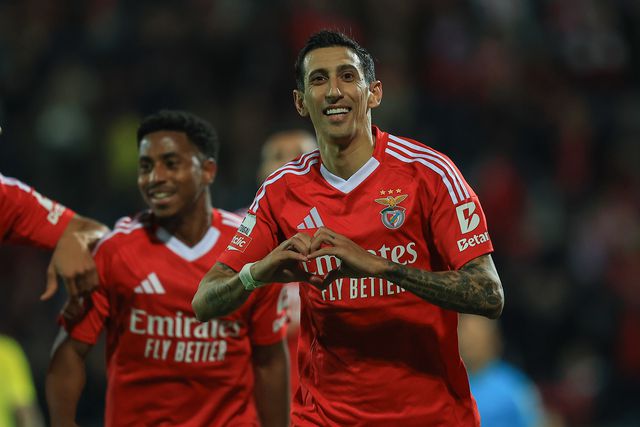 Águia em voo picado em aproximação ao leão