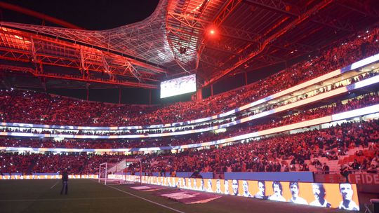 Benfica: «Temos de começar a pensar num novo estádio»