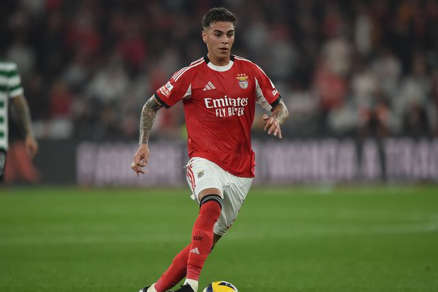 Enzo Barrenechea - Foto: SL Benfica