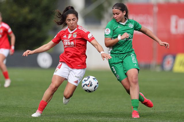 Benfica goleia o último em contraste acentuado