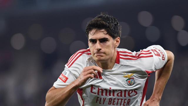 António Silva, central do Benfica (foto: Imago)