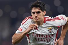 António Silva, central do Benfica (foto: Imago)