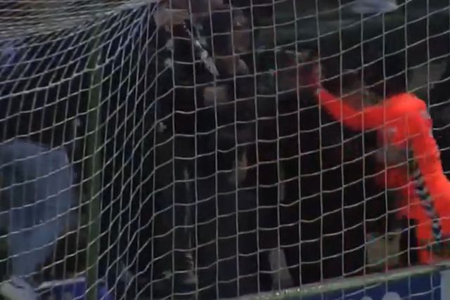 Confrontou quem o insultava e acabou expulso: conta a história e agradece a Vinícius