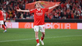 A diferença tão ténue entre não correr riscos e pisar o risco (crónica)
