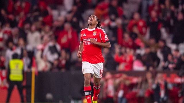 Leandro Barreiro, médio do Benfica (foto: Imago)