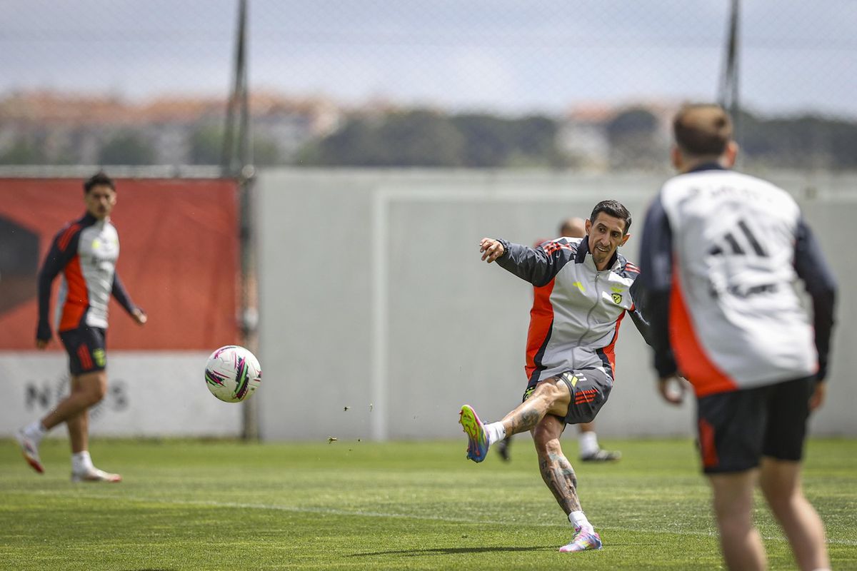 Foco e sorrisos no treino do Benfica (fotos)