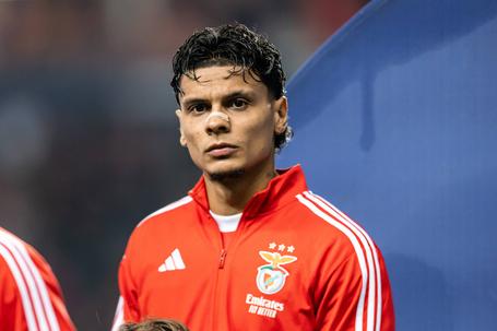 Richard Ríos, médio do Benfica (IMAGO)