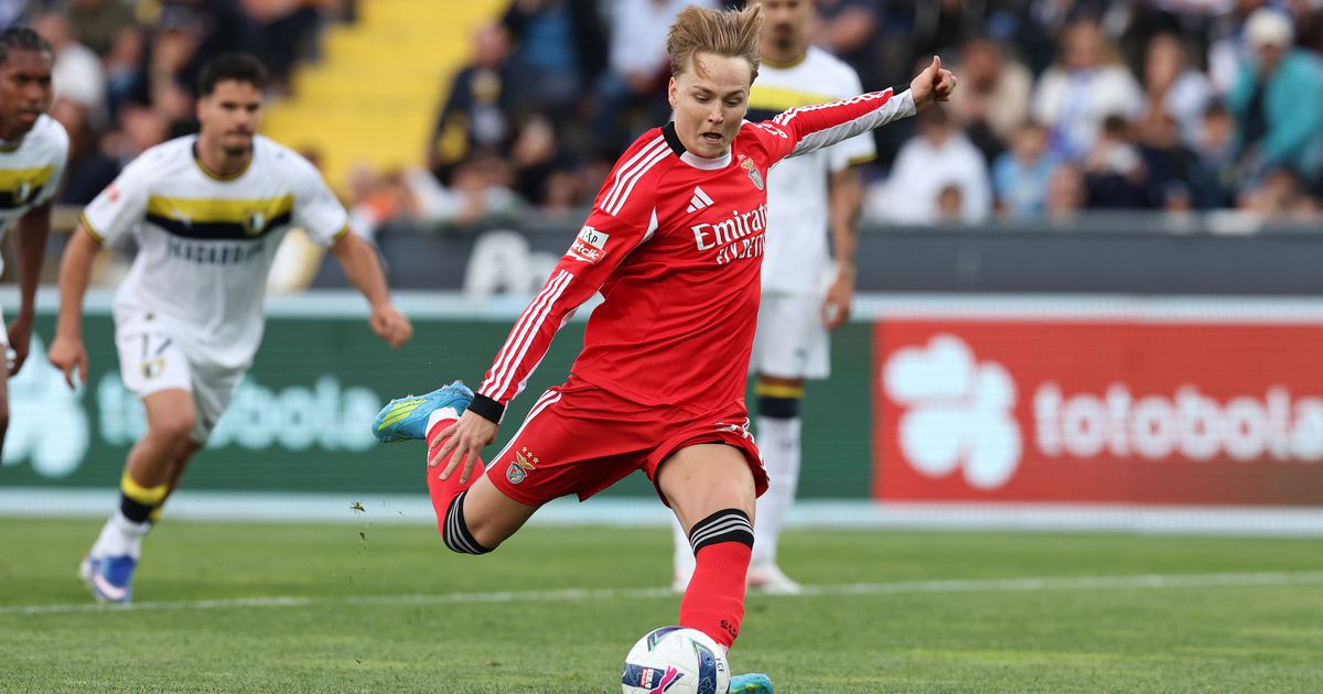 Precipitação do general atirou as tropas para a trincheira (as notas do Benfica)