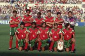 A Seleção de Portugal que foi campeã do Mundo em 1991 foi a que 'deu' mais jogadores à equipa principal (A BOLA)
