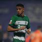 Sporting: Pontelo a caminho do Paços de Ferreira