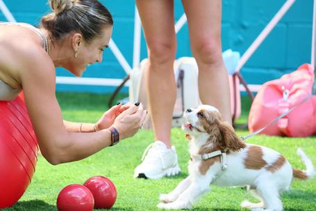 Aryna Sabalenka com Ash num treino em Miami, em março       Fotografia Imago