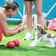Aryna Sabalenka com Ash num treino em Miami, em março       Fotografia Imago