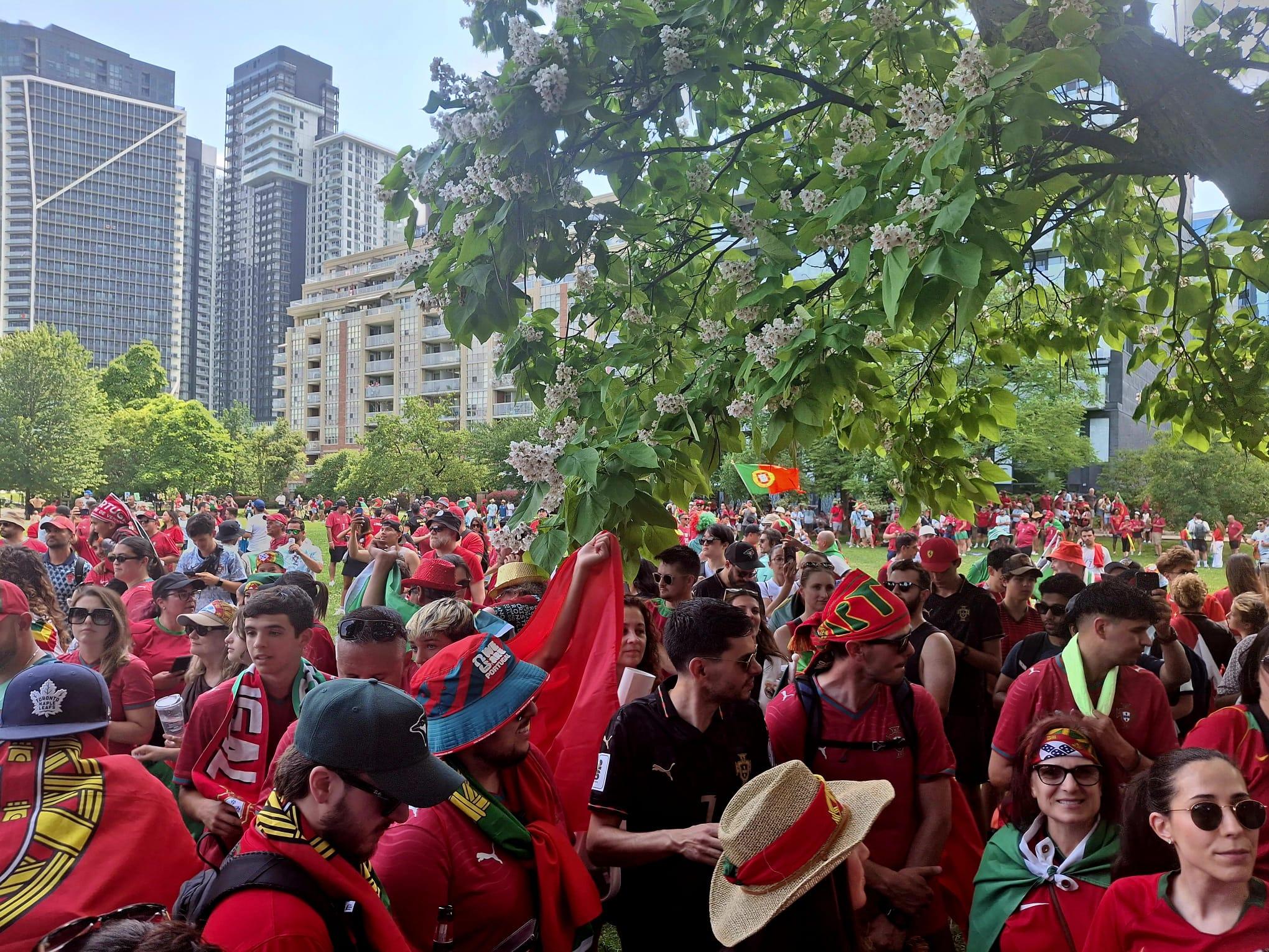 Adeptos de Portugal em Toronto (Foto: João Pimpim)