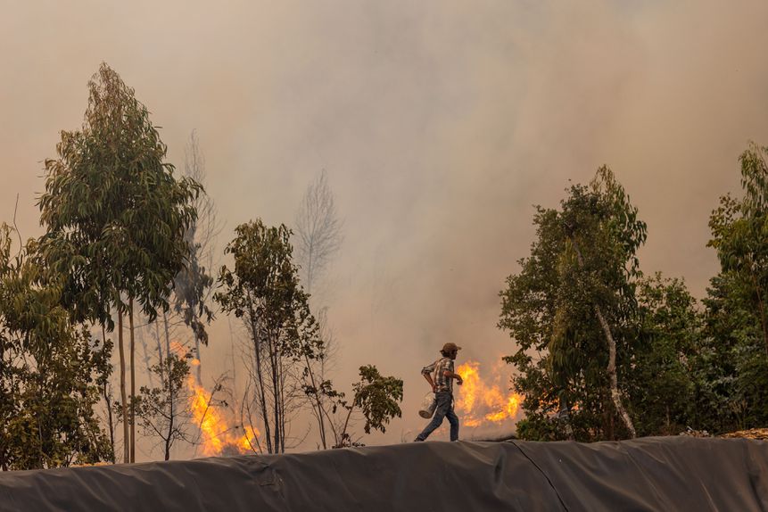 Incêndio em Gondomar (Foto: DIOGO BAPTISTA /LUSA)