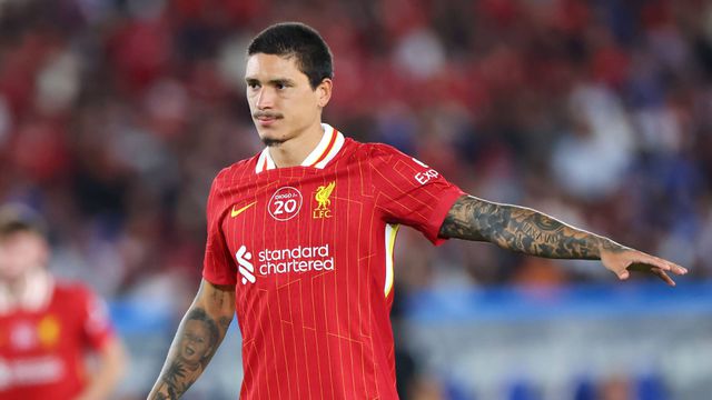 Central de Transferências: «Darwin nunca foi consensual em Liverpool»