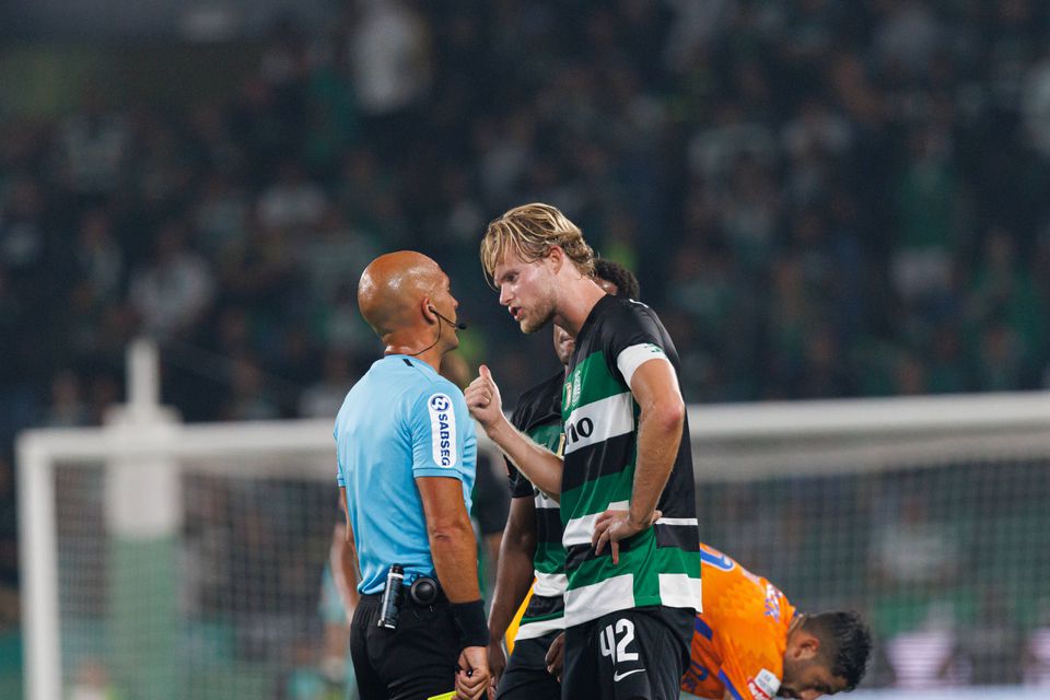 Luís Godinho e tudo o resto