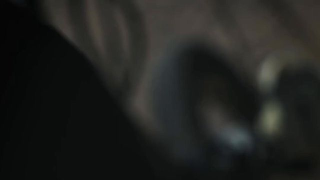 Conrad Harder chegou de bicicleta a Alvalade