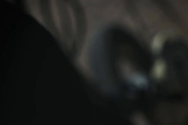 Conrad Harder chegou de bicicleta a Alvalade