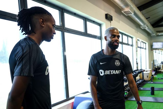 A nova defesa do leão