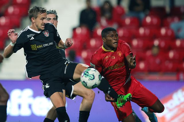 Galos dão bicada aos gansos e acomodam-se no meio da tabela