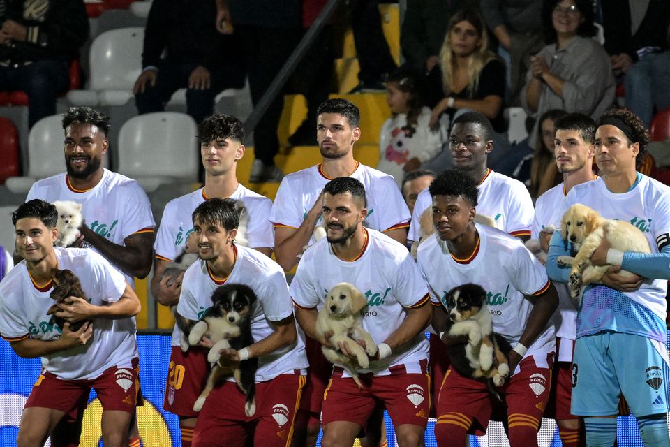 IRA acusa Aves SAD de se aproveitar da iniciativa de combate ao abandono animal