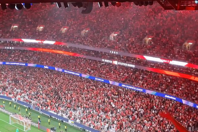 Luz ao rubro com a exibição do Benfica