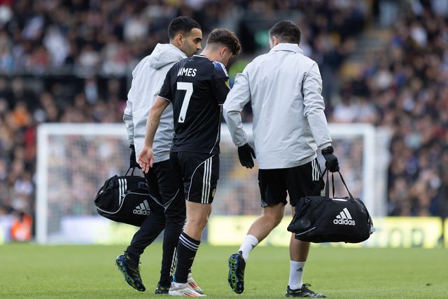 Daniel James lesionado: entorse no tornozelo